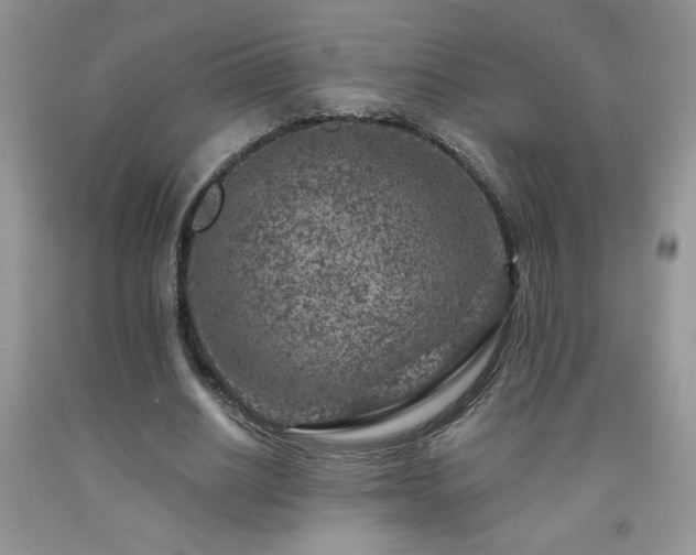 X0000092300630200709141320