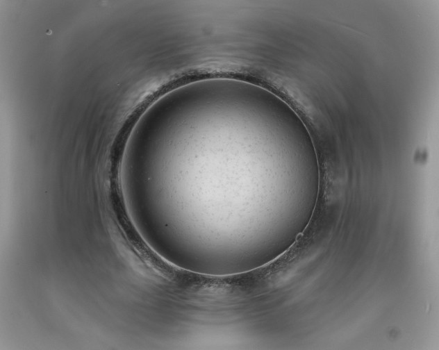 X0000092300631200709141320