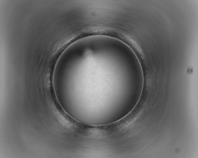 X0000092300633200709141320