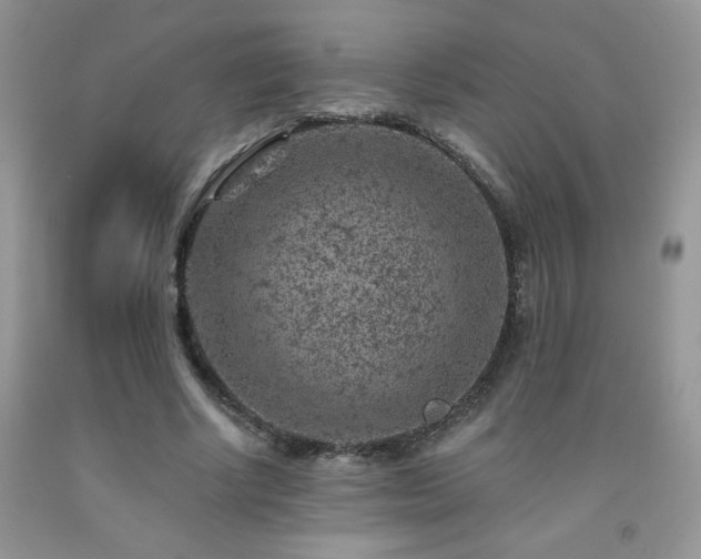 X0000092300634200709141320
