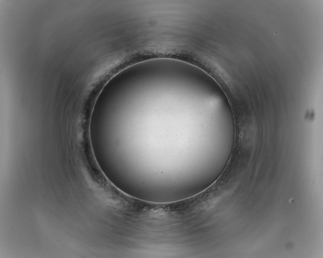 X0000092300635200709141320