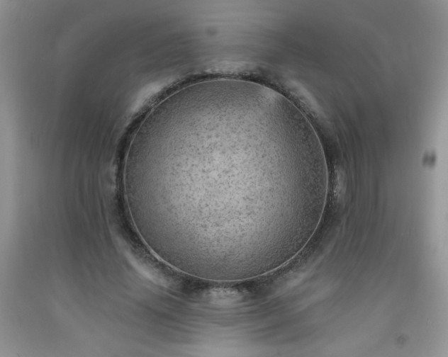 X0000092300636200709141320