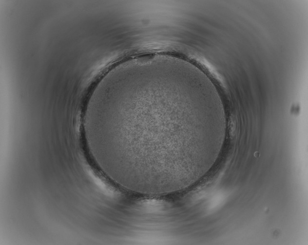 X0000092300637200709141320
