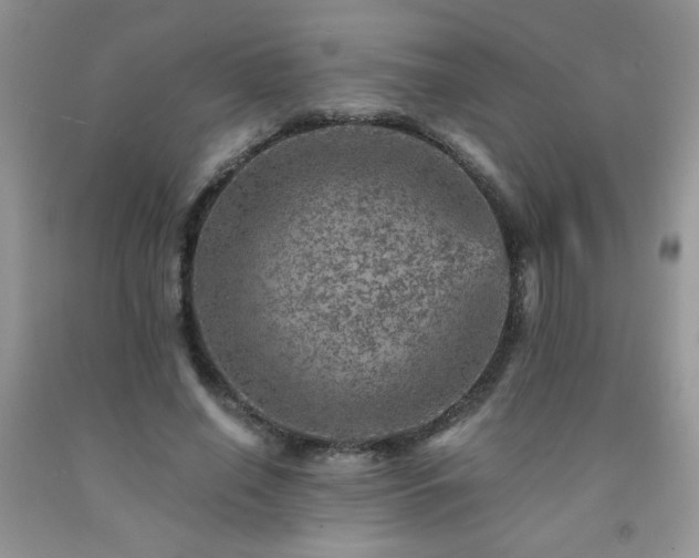 X0000092300638200709141320