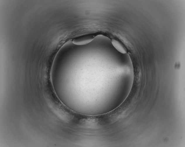 X0000092300639200709141320