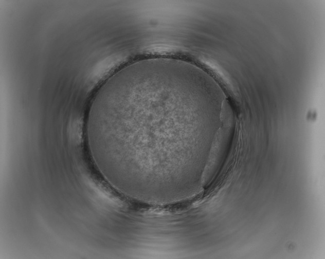 X0000092300640200709141320