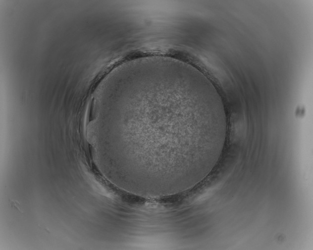 X0000092300641200709141321
