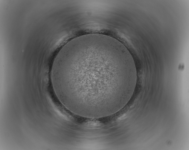 X0000092300642200709141321