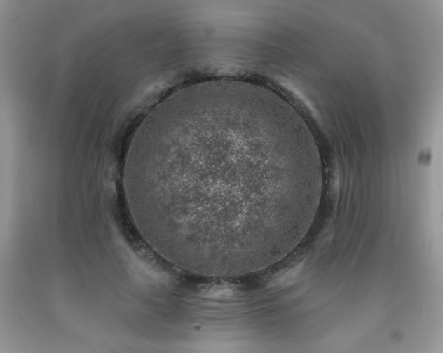 X0000092300643200709141321