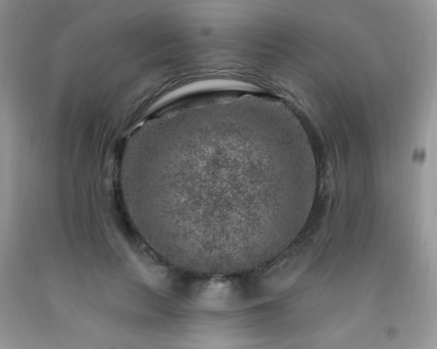 X0000092300647200709141321