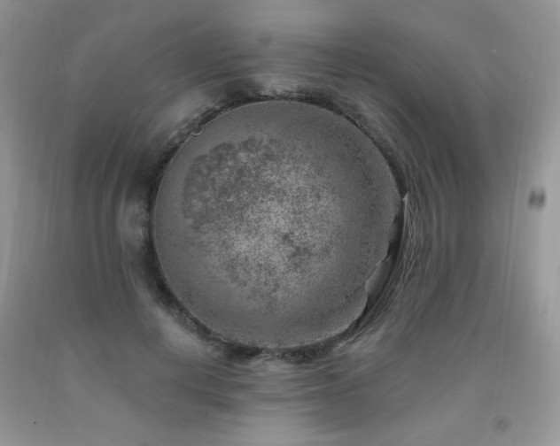 X0000092300648200709141321