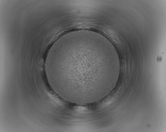 X0000092300649200709141321