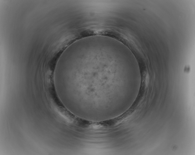 X0000092300650200709141321