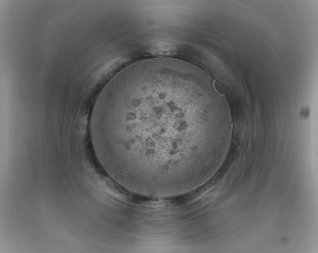 X0000092300652200709141321