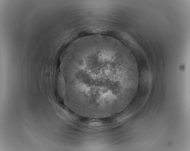 X0000092300653200709141321