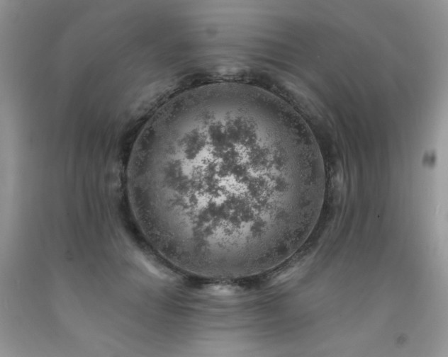X0000092300654200709141321