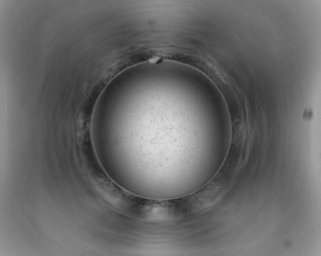 X0000092300655200709141321