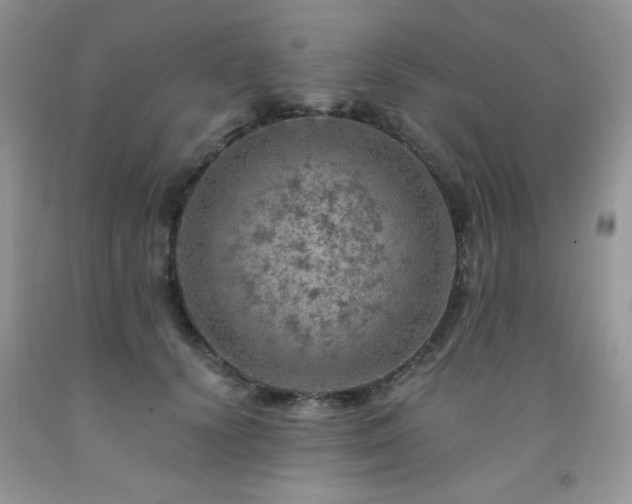 X0000092300656200709141321
