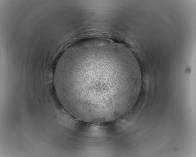 X0000092300657200709141321