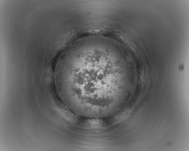 X0000092300659200709141321