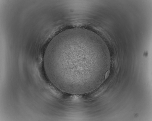 X0000092300660200709141321