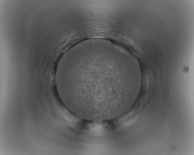X0000092300661200709141321
