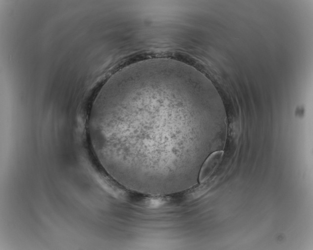 X0000092300662200709141321