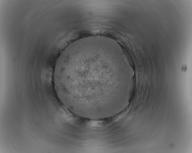 X0000092300664200709141321