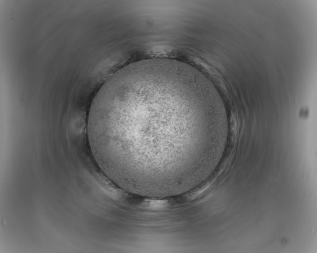 X0000092300665200709141321