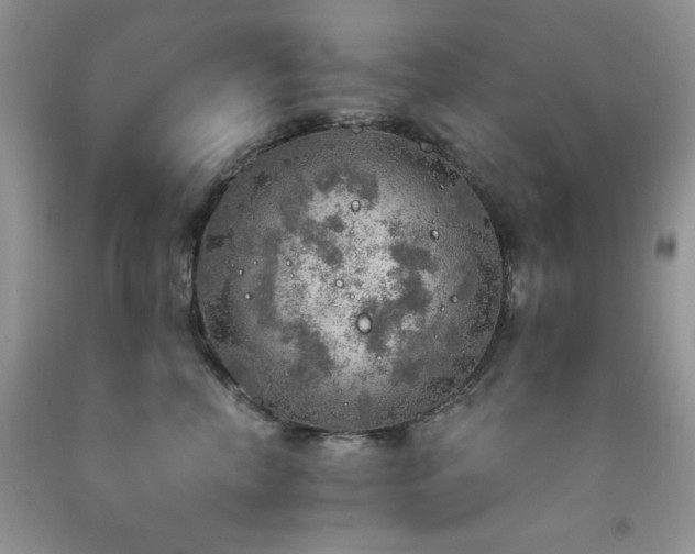 X0000092300666200709141321