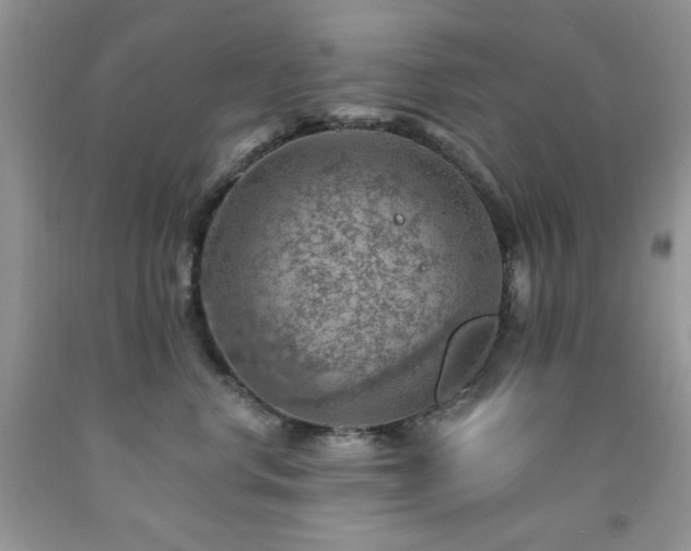 X0000092300668200709141321