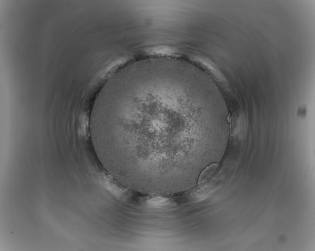 X0000092300669200709141321