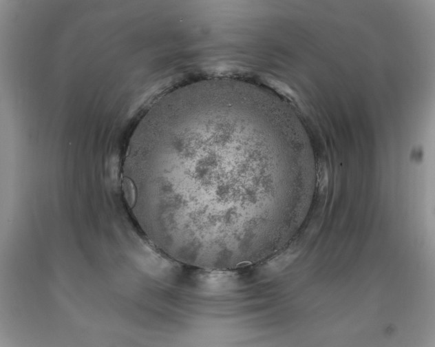 X0000092300670200709141321