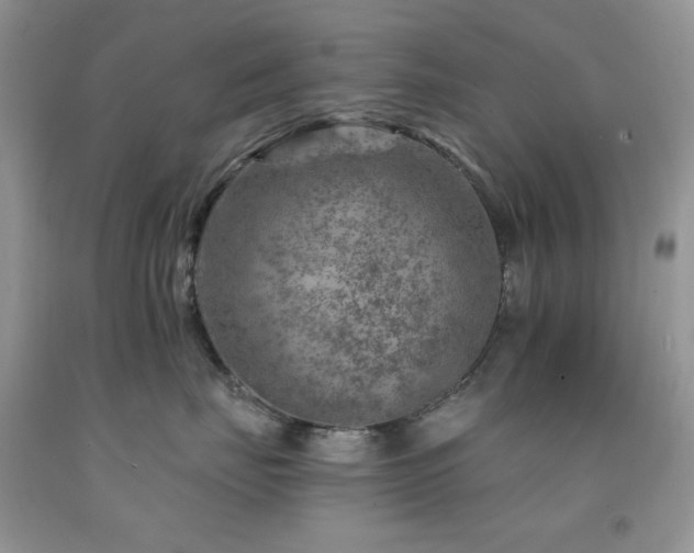 X0000092300671200709141321