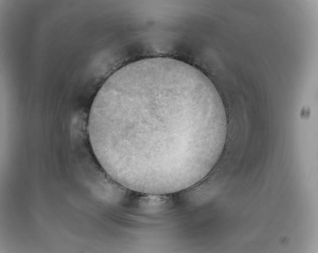 X0000092300672200709141321