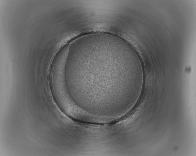 X0000092300673200709141320