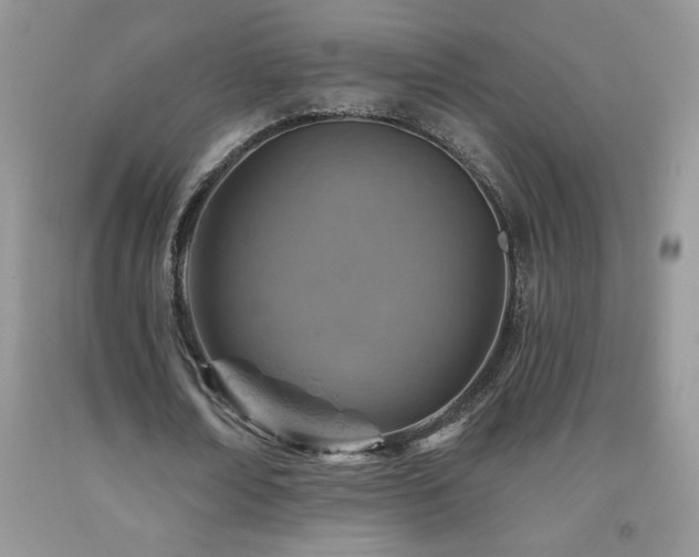 X0000092300674200709141320