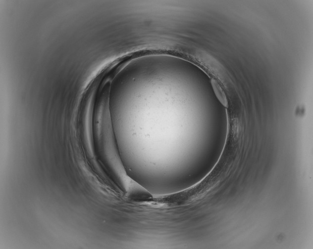X0000092300676200709141320