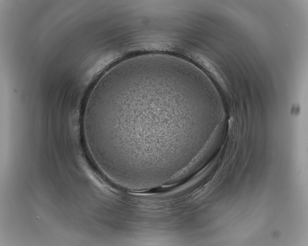 X0000092300677200709141320