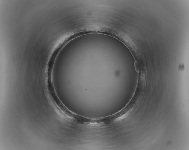 X0000092300678200709141320