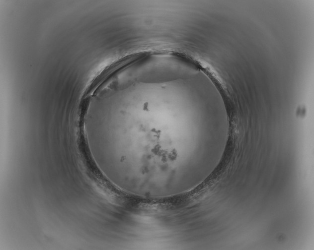 X0000092300679200709141320