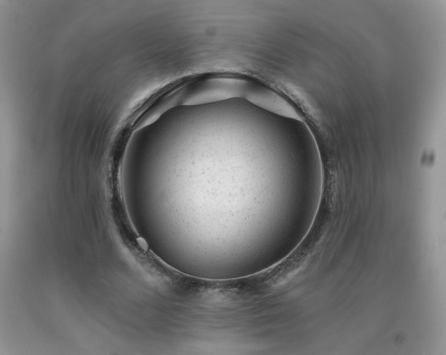 X0000092300680200709141320