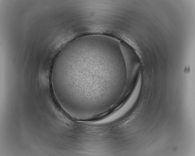 X0000092300681200709141320