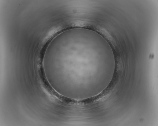 X0000092300683200709141320