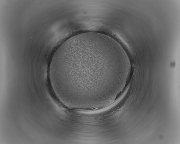 X0000092300685200709141320