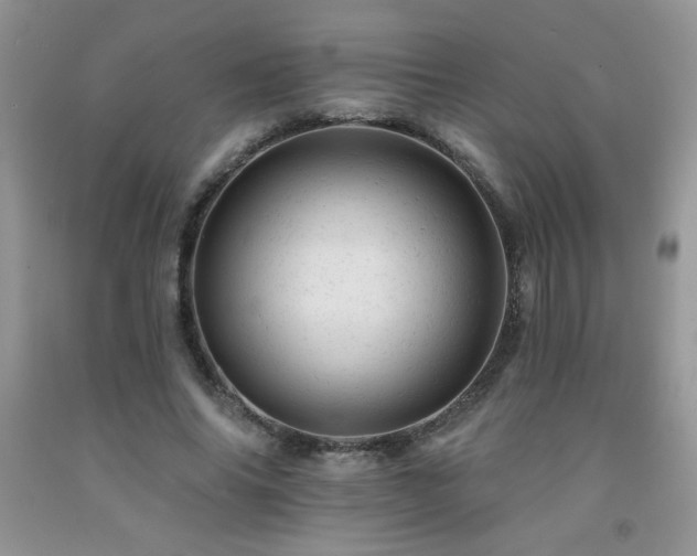 X0000092300686200709141320