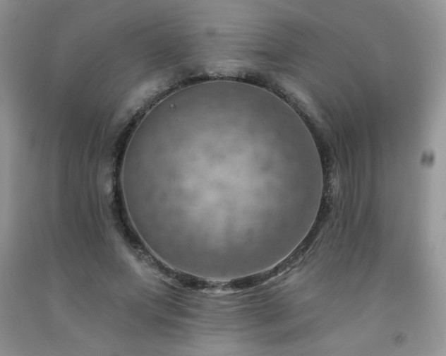 X0000092300687200709141320