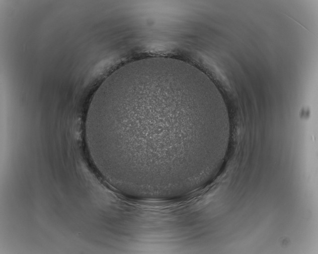 X0000092300689200709141320