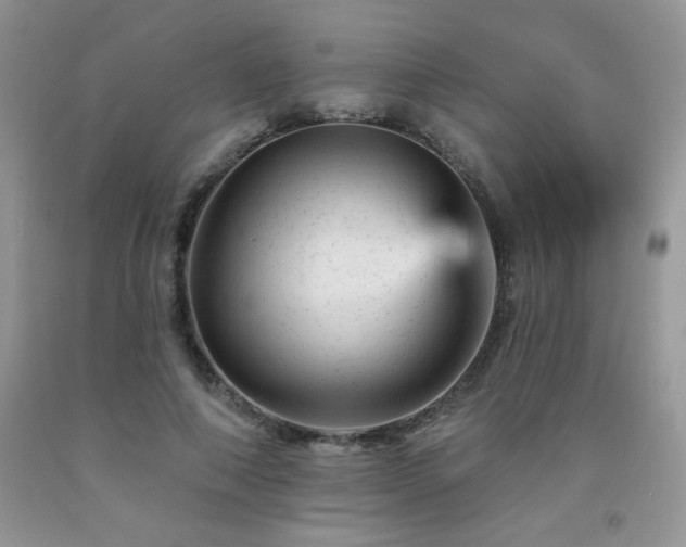X0000092300690200709141320