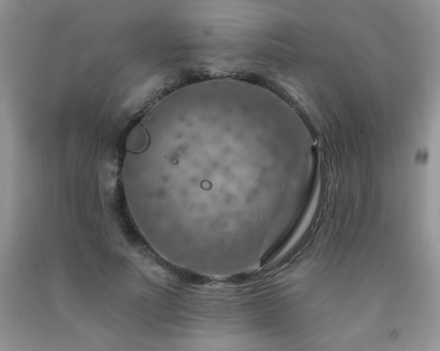 X0000092300691200709141320